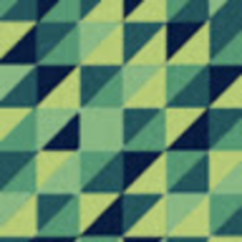 Meet your Posher, Ali